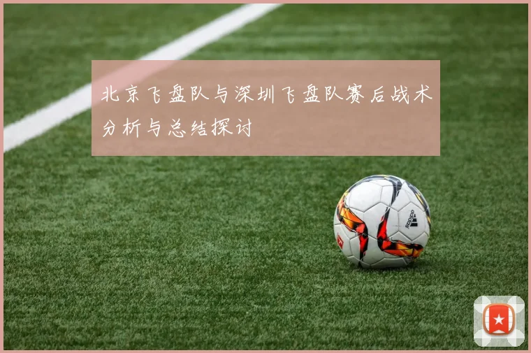 北京飞盘队与深圳飞盘队赛后战术分析与总结探讨