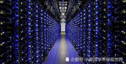 Solar-powered mining farm hosting multiple cryptocurrency miners efficiently
