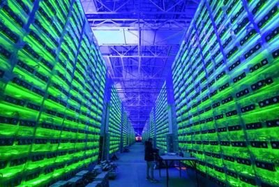 A view of a mining farm filled with racks of mining machines