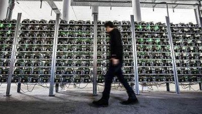 A vast mining farm filled with rows of powerful mining rigs, showcasing the scale and infrastructure of a professional mining operation.