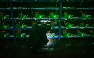 An advanced mining rig setup, illustrating the hardware used for cryptocurrencies like BTC and ETH in French operations